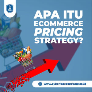 Apa itu ecommerce pricing strategy?