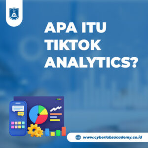 Apa itu TikTok Analytics?