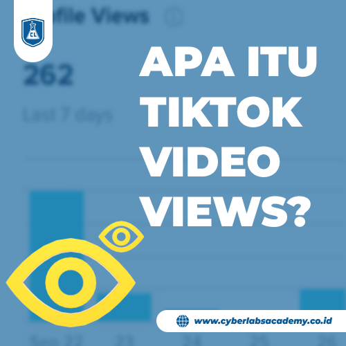 Apa itu TikTok Video Views?