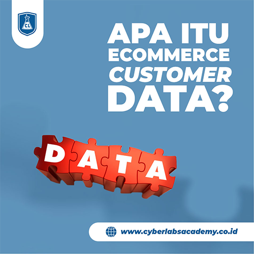 Apa itu ecommerce customer data?