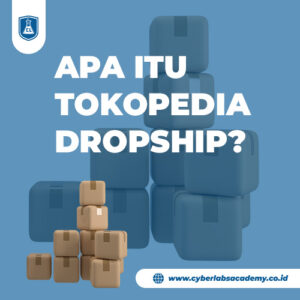 Apa itu Tokopedia dropship?