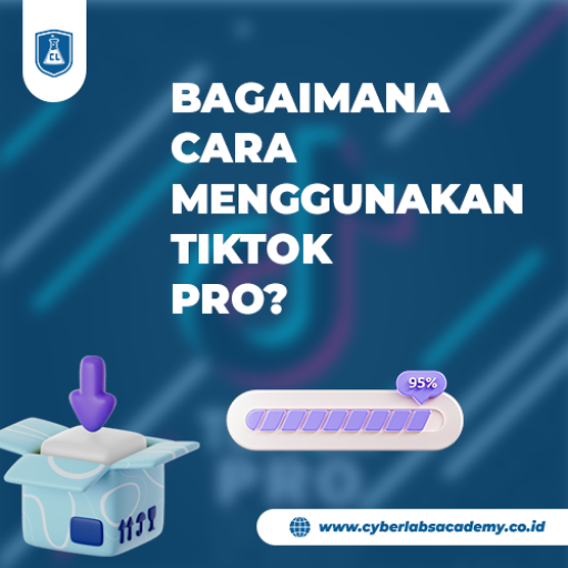 Bagaimana cara menggunakan TikTok Pro?