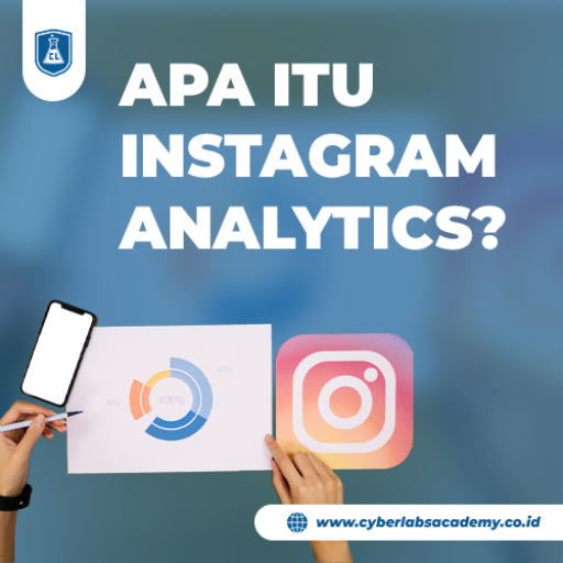 Apa itu Instagram Analytics?